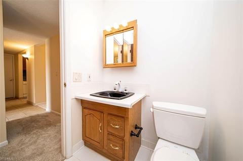 10087 Hideaway Cv, Aurora, OH 44202 photo 20