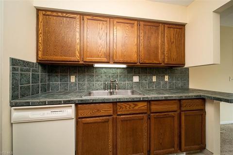 10087 Hideaway Cv, Aurora, OH 44202 photo 25