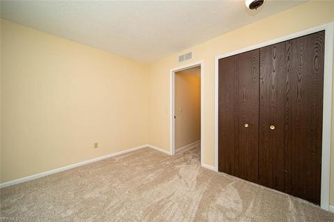 10087 Hideaway Cv, Aurora, OH 44202 photo 23