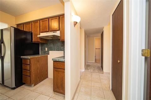 10087 Hideaway Cv, Aurora, OH 44202 photo 9