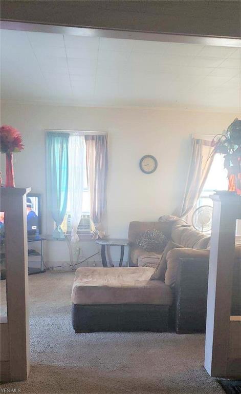 420 W 52nd St, Ashtabula, OH 44004 photo 6