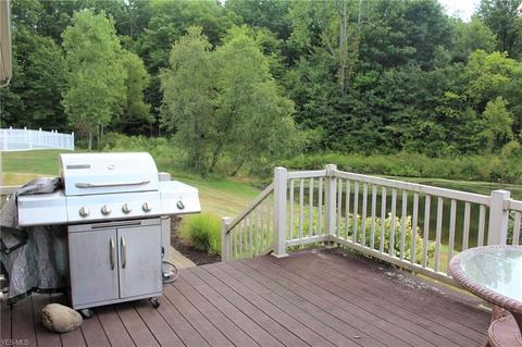 4384 Shannon Dr, Rootstown, OH 44272 photo 26