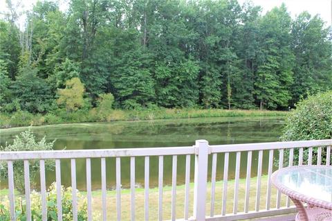 4384 Shannon Dr, Rootstown, OH 44272 photo 25