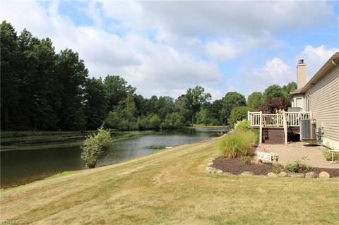 4384 Shannon Dr, Rootstown, OH 44272 photo 23