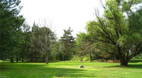 8690 Yoder Rd, Wadsworth, OH 44281 photo 20