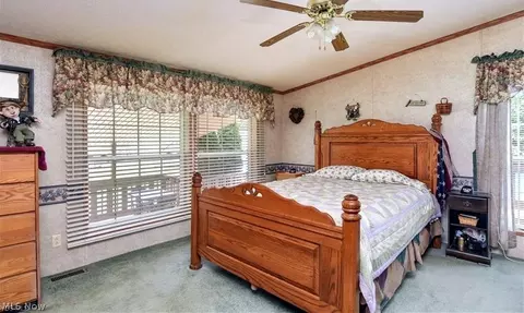 8192 Thomas Rd, Lisbon, OH 44432 photo 19