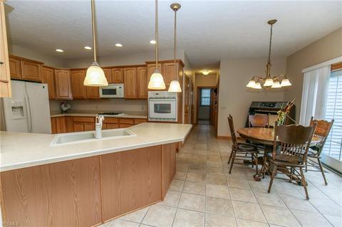 41113 Mills Cir, Lagrange, OH 44050 photo 15
