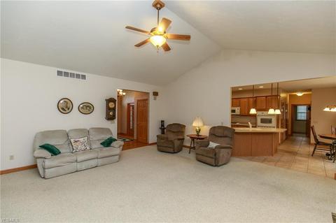 41113 Mills Cir, Lagrange, OH 44050 photo 9