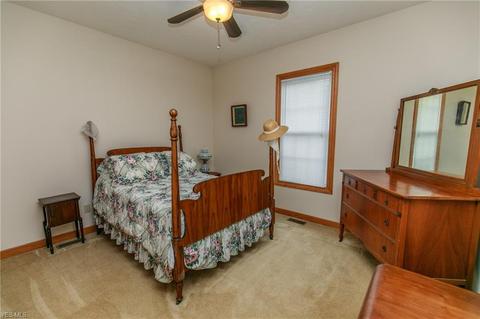 41113 Mills Cir, Lagrange, OH 44050 photo 24