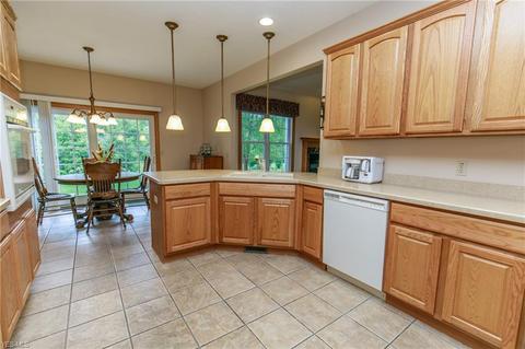 41113 Mills Cir, Lagrange, OH 44050 photo 12