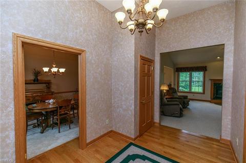 41113 Mills Cir, Lagrange, OH 44050 photo 4