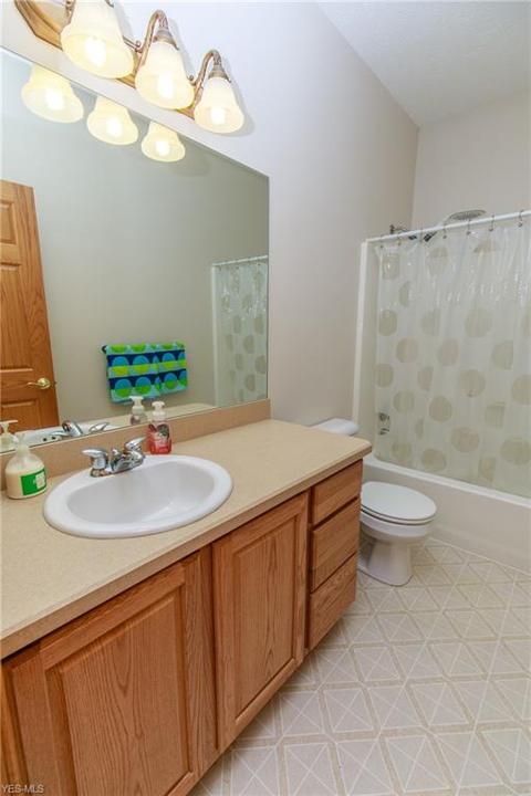 41113 Mills Cir, Lagrange, OH 44050 photo 27