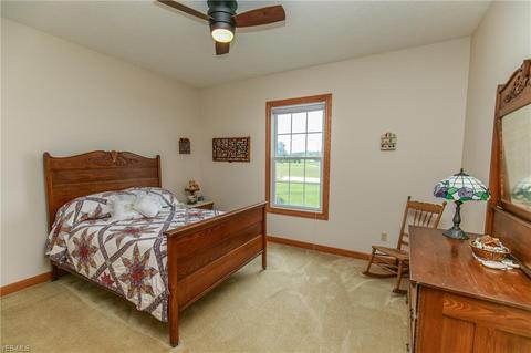 41113 Mills Cir, Lagrange, OH 44050 photo 22