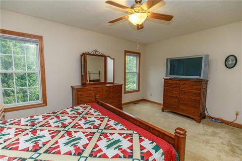 41113 Mills Cir, Lagrange, OH 44050 photo 19