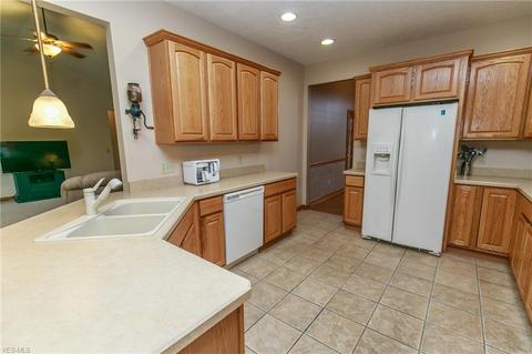 41113 Mills Cir, Lagrange, OH 44050 photo 13
