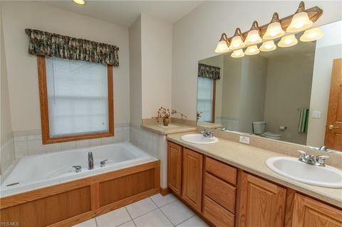 41113 Mills Cir, Lagrange, OH 44050 photo 20