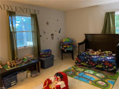 4638 Diane Dr, Ashtabula, OH 44004 photo 18
