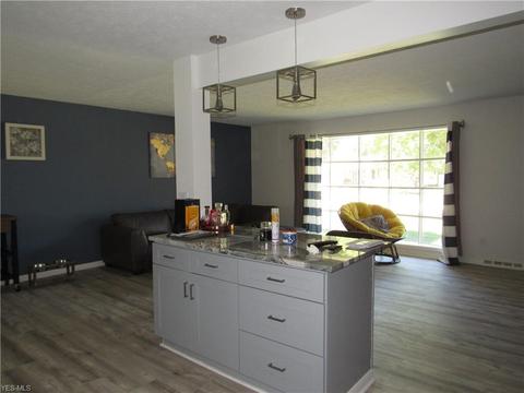 870 E Decker Dr, Seven Hills, OH 44131 photo 4