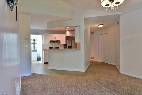 1233 Red Tail Hawk Ct #6, Youngstown, OH 44512 photo 10