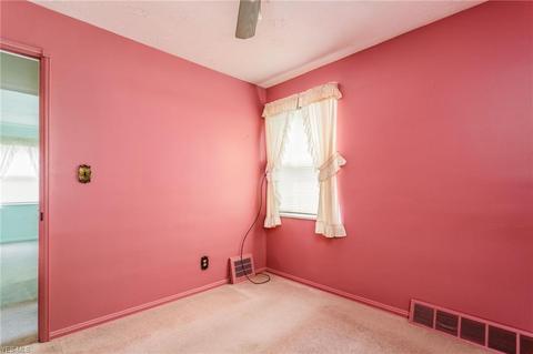 611 Cornell Ave, Elyria, OH 44035 photo 19
