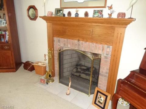 141 Vanderbilt Ct, Elyria, OH 44035 photo 9