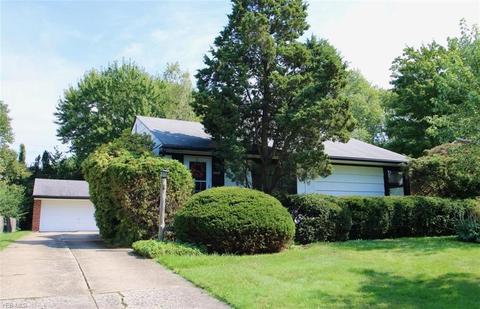 5405 Harmony Ln, Willoughby, OH 44094 photo 1