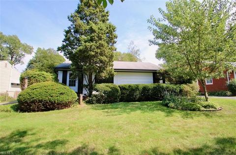 5405 Harmony Ln, Willoughby, OH 44094 photo 19