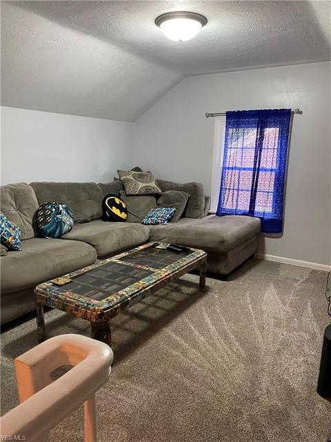 335 Vassar Ave, Elyria, OH 44035 photo 17
