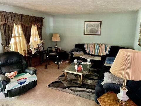 1048 Lode Star Dr, Roaming Shores, OH 44085 photo 5