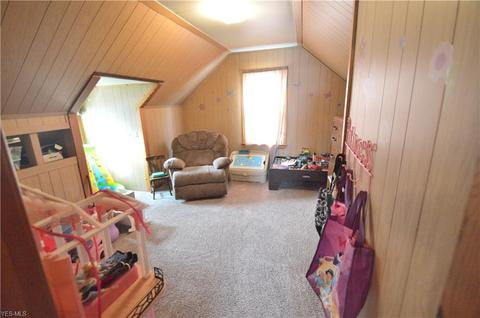 193 Wilson St, Struthers, OH 44471 photo 19