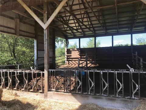 8047 Devillars Rd, Cochranton, PA 16314 photo 8