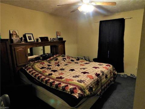 6931 Sanborn Rd, Ashtabula, OH 44004 photo 15