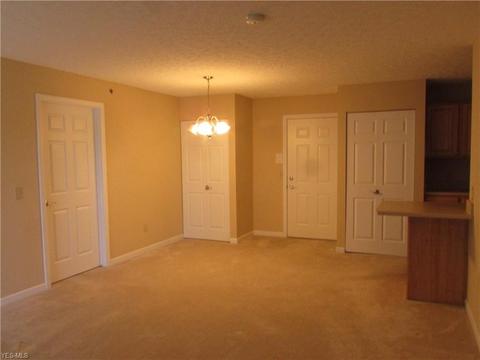 4703 Hills And Dales Rd NW #306, Canton, OH 44708 photo 4