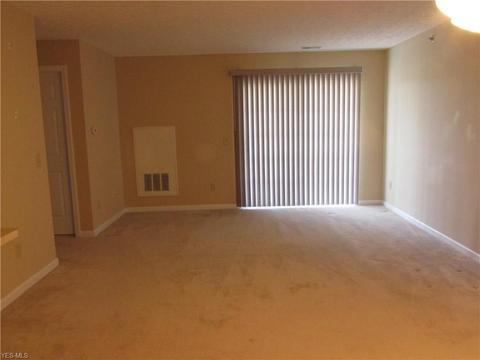 4703 Hills And Dales Rd NW #306, Canton, OH 44708 photo 3