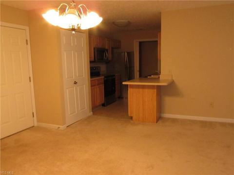 4703 Hills And Dales Rd NW #306, Canton, OH 44708 photo 7