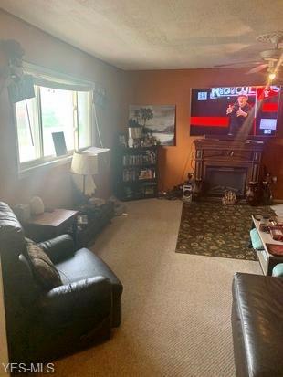 321 S York St, Wheeling, WV 26003 photo 11
