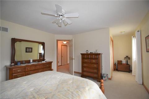 5201 Struthers Rd, Struthers, OH 44471 photo 22