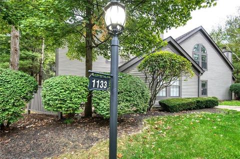1133 Red Tail Hawk Ct #1, Youngstown, OH 44512 photo 18
