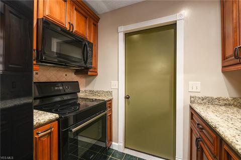 10252 Dewhurst Rd, Elyria, OH 44035 photo 13