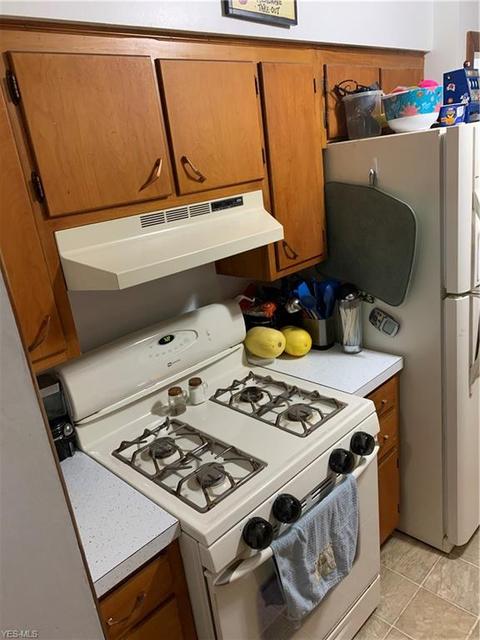 971 Reeve Rd, Elyria, OH 44035 photo 3