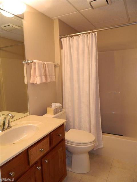 129 Brighton Dr, Aurora, OH 44202 photo 29