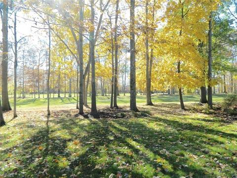 129 Brighton Dr, Aurora, OH 44202 photo 32