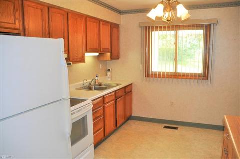 3239 River Rd, Perry, OH 44081 photo 9