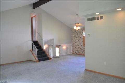 3239 River Rd, Perry, OH 44081 photo 4