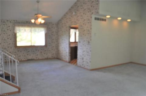 3239 River Rd, Perry, OH 44081 photo 5
