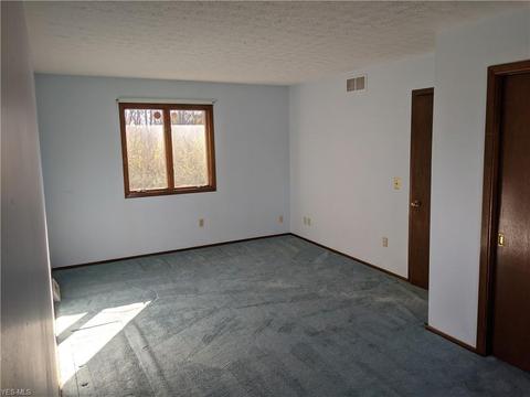7914 Buffham Rd, Lodi, OH 44254 photo 24