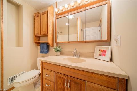4639 Webb Rd, Perry, OH 44081 photo 10