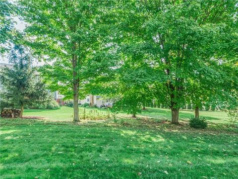 2326 Cold Stream Ave NE, Canton, OH 44721 photo 6