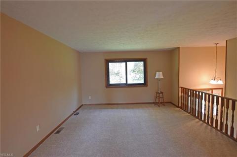7880 Buffham Rd, Lodi, OH 44254 photo 4