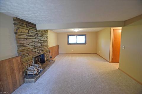 7880 Buffham Rd, Lodi, OH 44254 photo 16